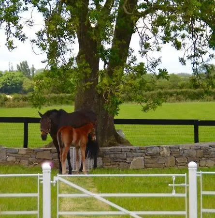 The Stable, Bennettsbridge, Kilkenny Villa Exterior photo
