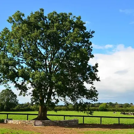 The Stable, Bennettsbridge, Kilkenny Villa Exterior photo