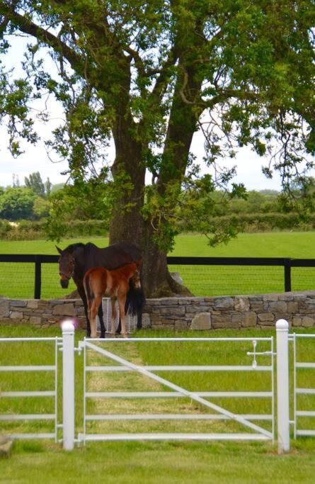 The Stable, Bennettsbridge, Kilkenny
