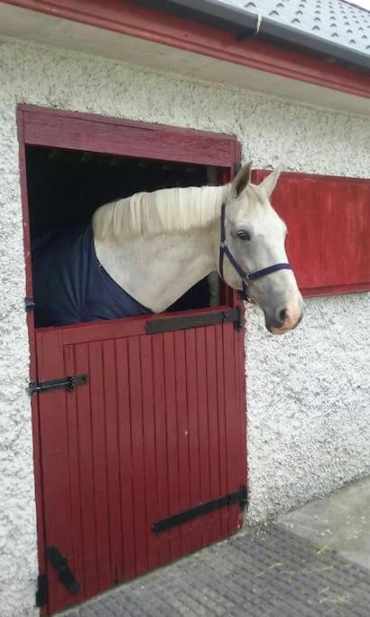 The Stable, Bennettsbridge, Kilkenny Сasa de vacaciones Bennettsbridge